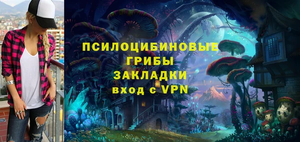 кокс Гусь-Хрустальный