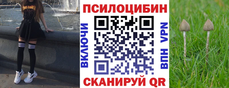 как найти   Демидов  omg онион  Галлюциногенные грибы GOLDEN TEACHER 